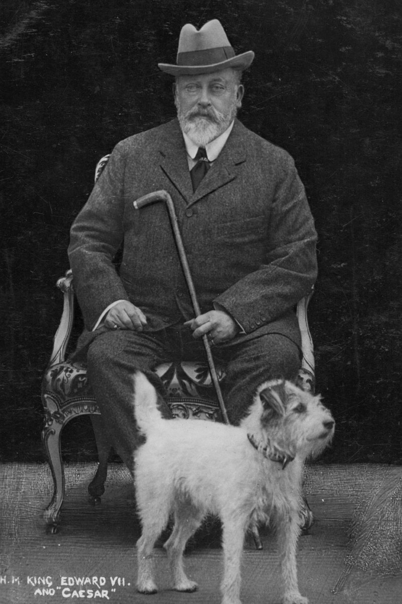 VII. Edward és Cézár