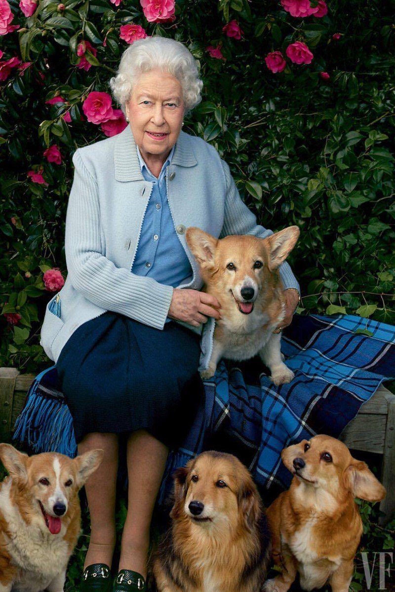 ii. erzsébet corgi