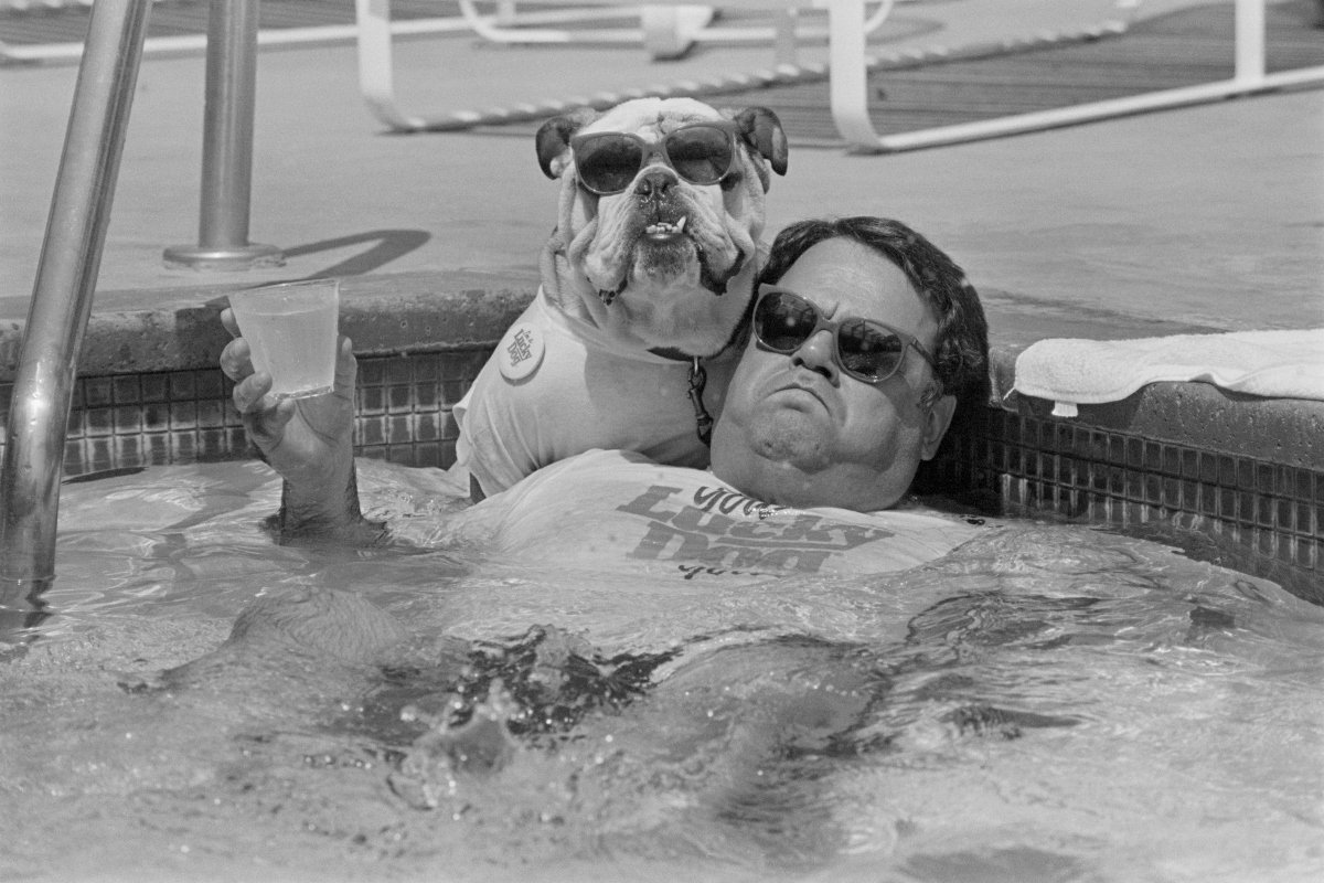 bulldog John Bisciglia színész