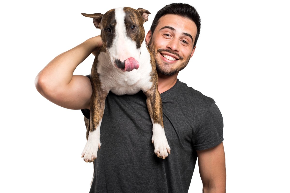 Bull-terrier and his owner