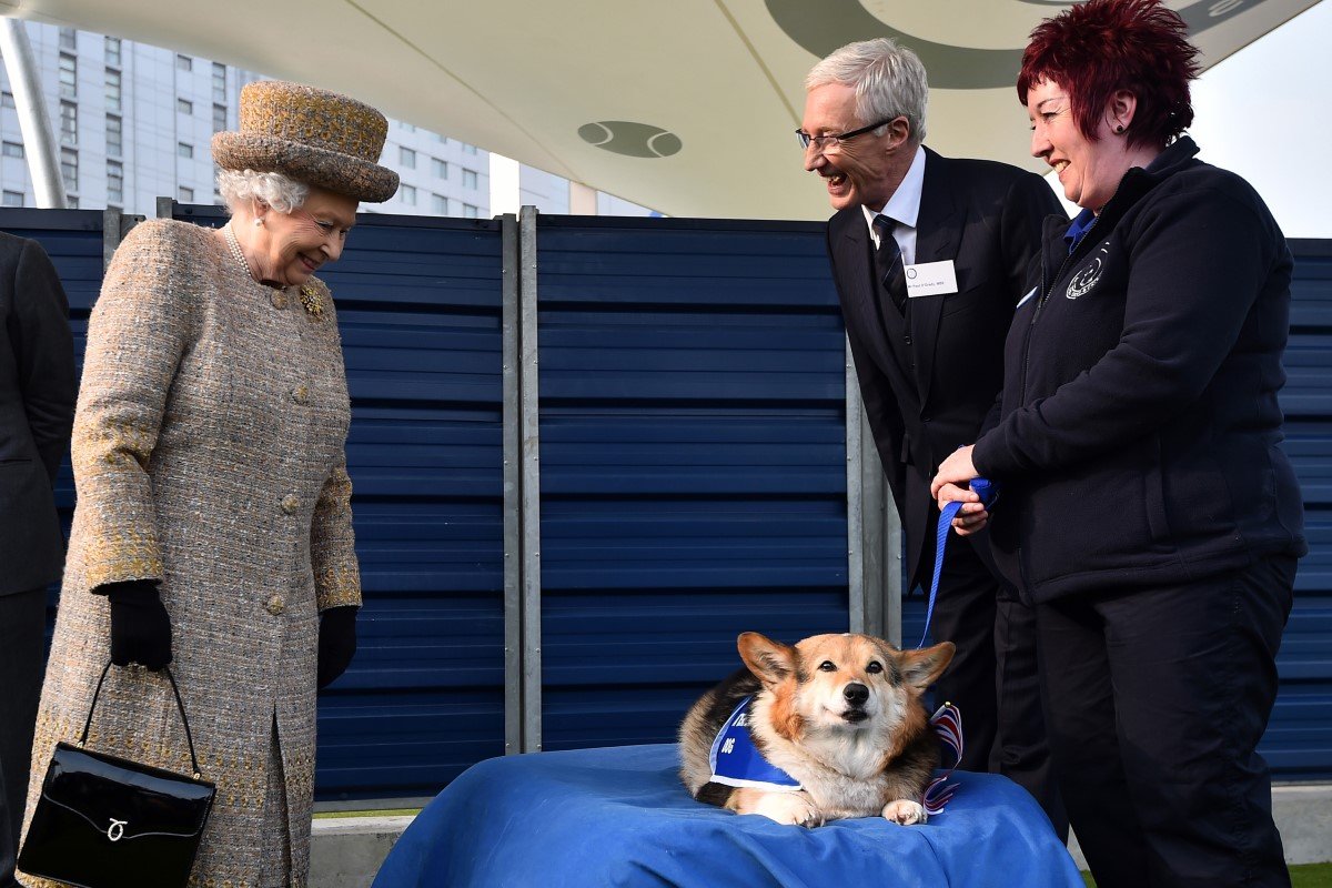ii. erzsébet királynő corgi