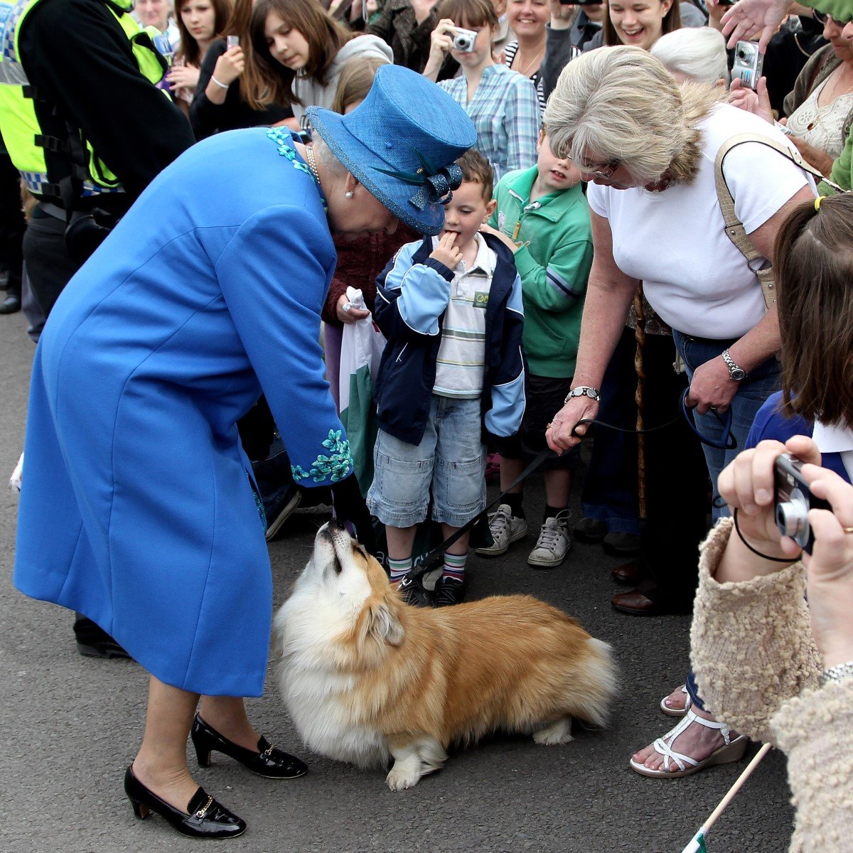 ii. erzsébet királynő corgi
