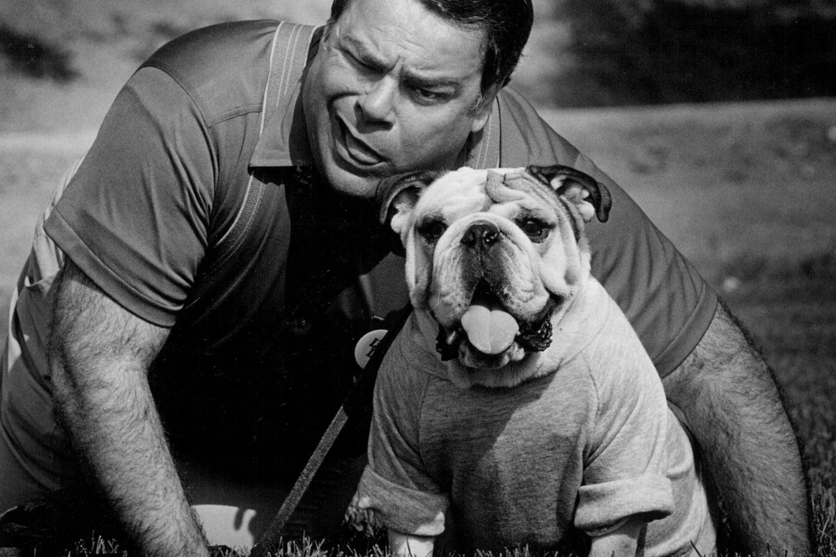 john bisciglia színész angol bulldog