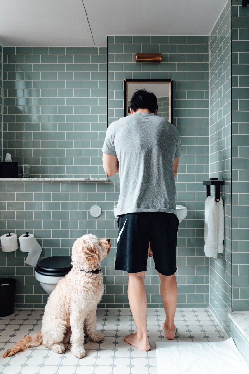 fürdőszoba wc mosdó gazdi követ