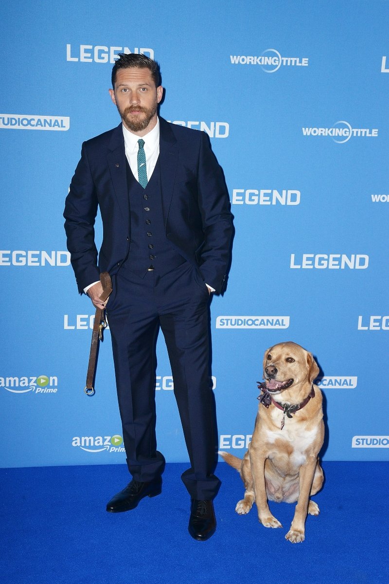 tom hardy woody kutya