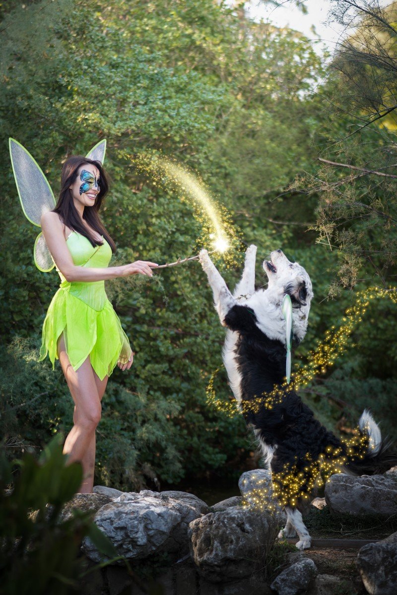 halloween kutya bella voyage
