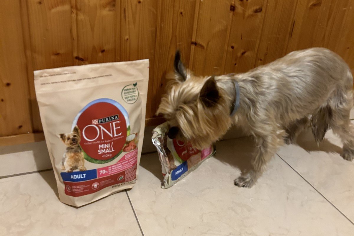 Lola Purina ONE