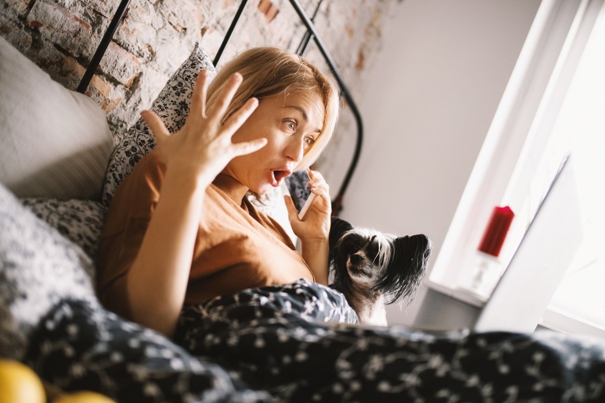 telefonál mérges ideges gazda nő kopasz kutya ágyban fekszik