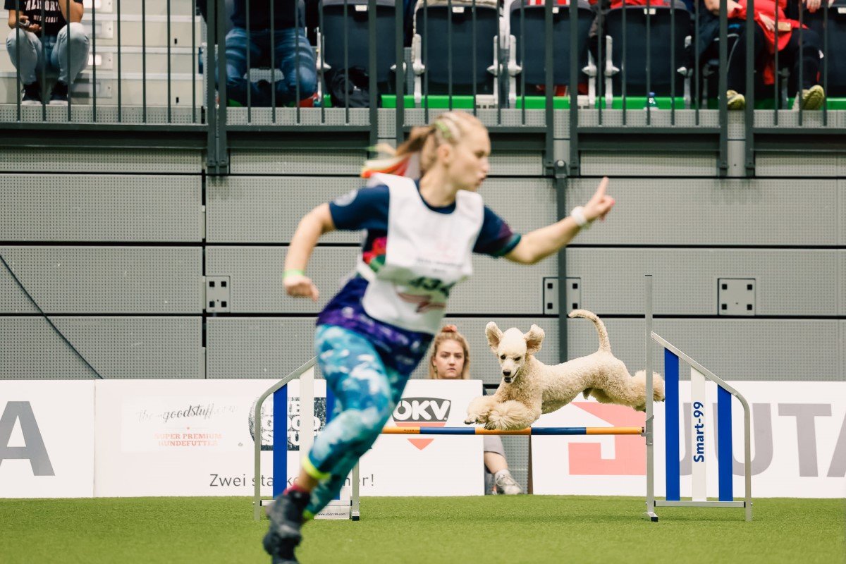 agility világbajnokság magyar csapat