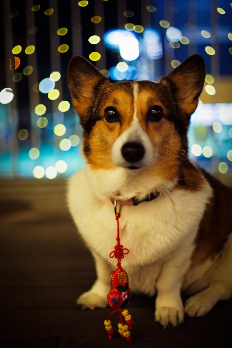kína