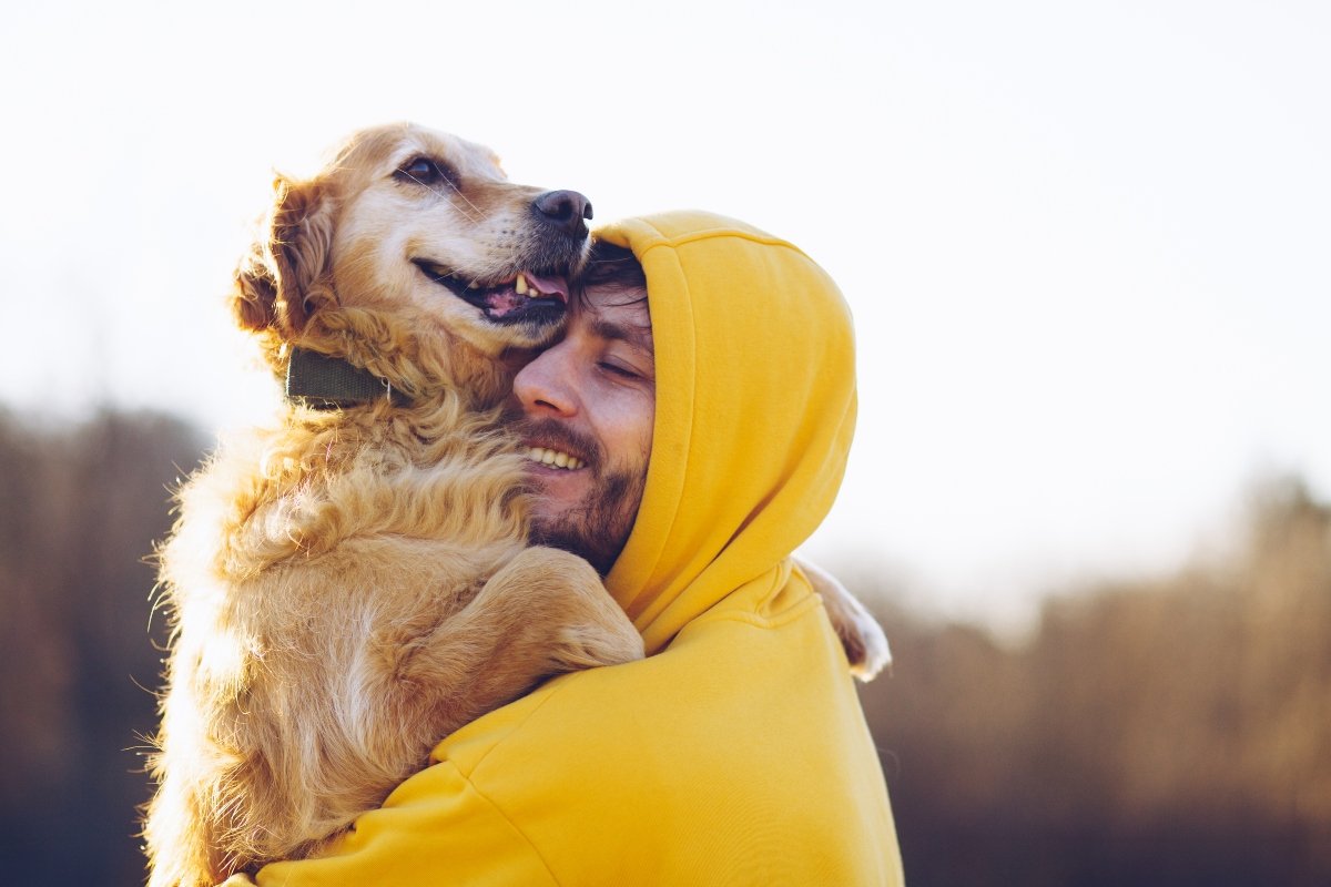 gazdi golden retriever ölelés boldog