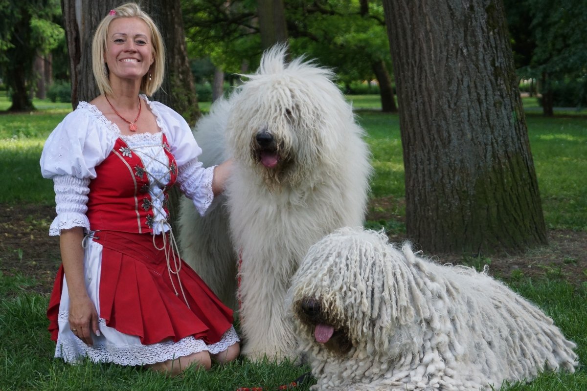 komondor Anda-Marócsek Anita (1)