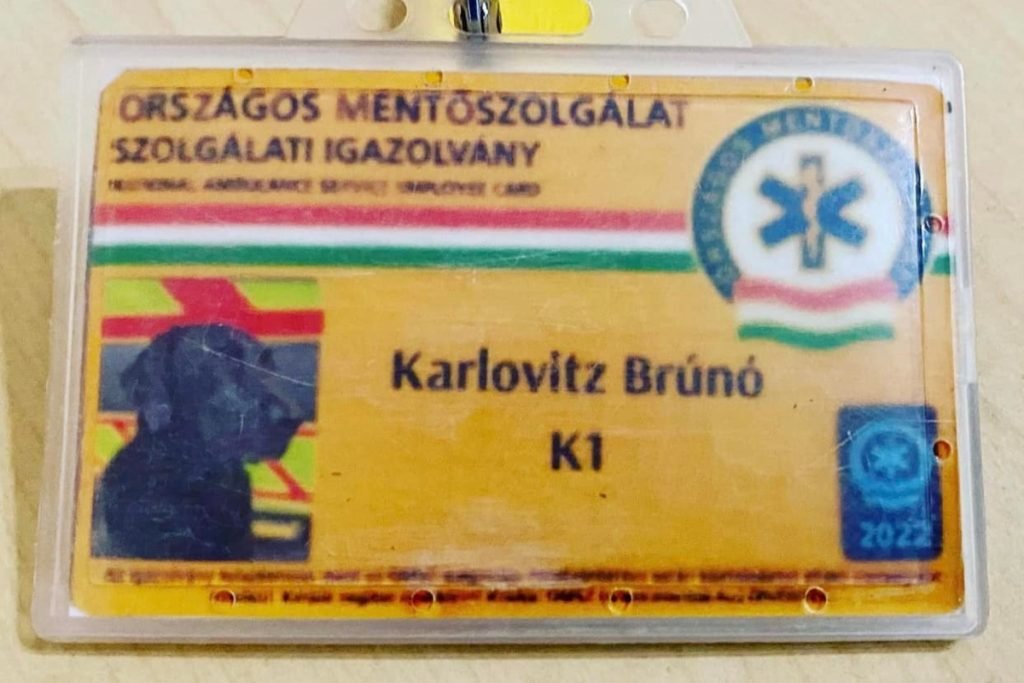 2022_12_bruno-mentos-kutya-1024x683.jpg