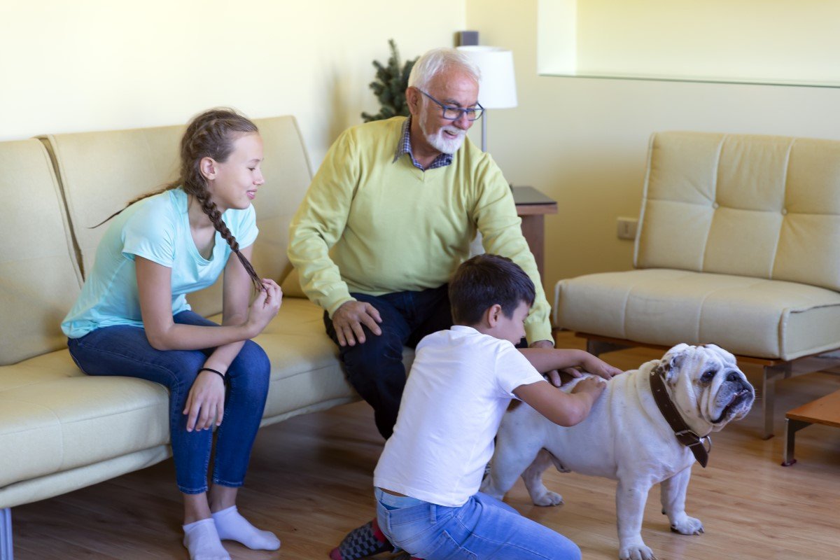 angol bulldog gyerekek simogat idős öreg bácsi család