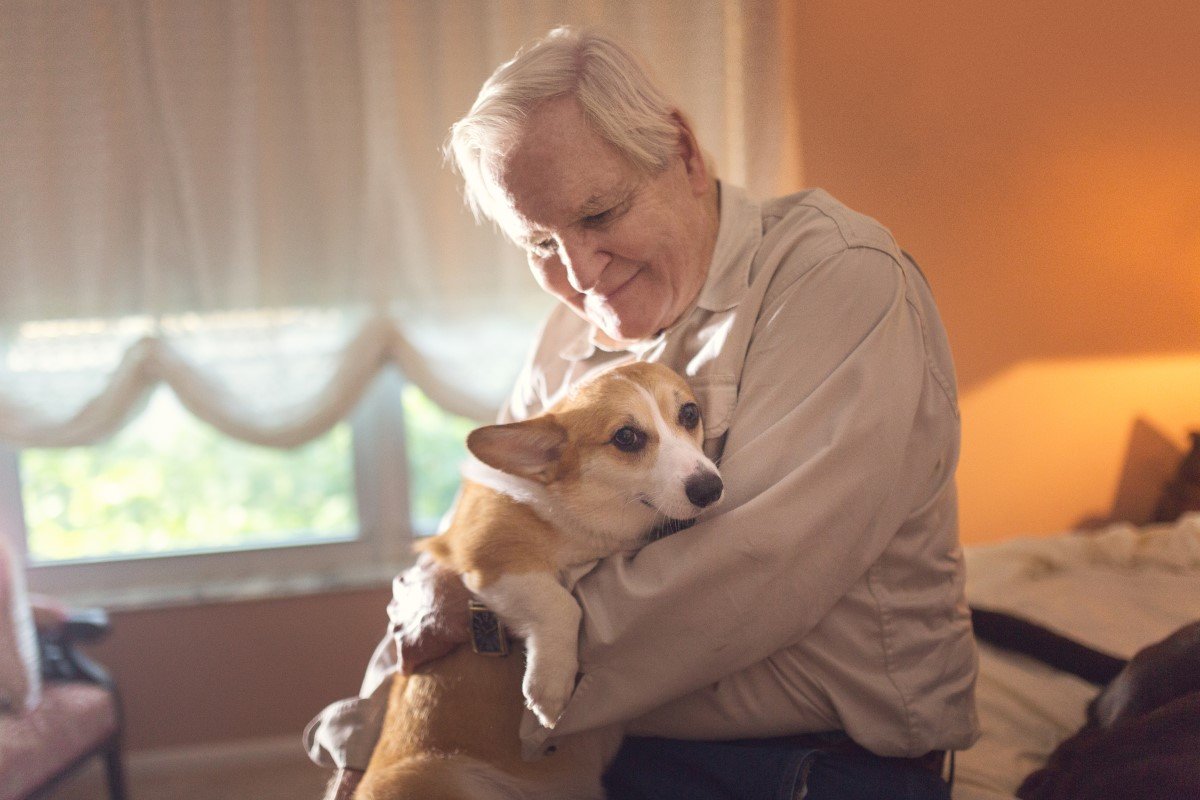 corgi idős öreg bácsi szeret ölel