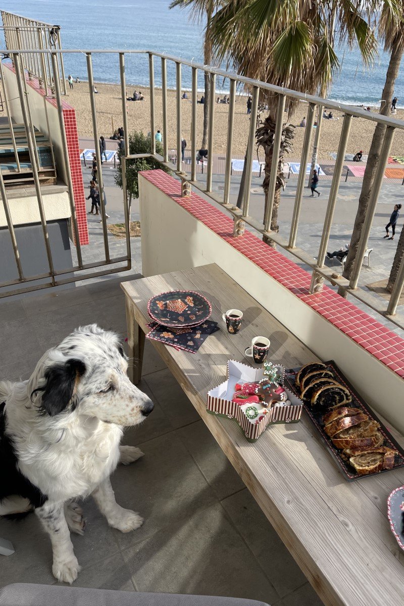 bellavoyage