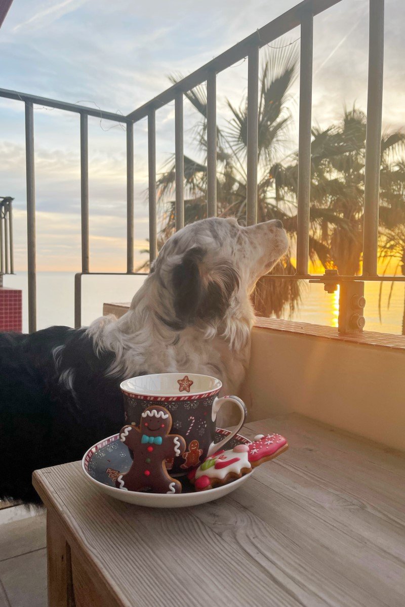 bellavoyage