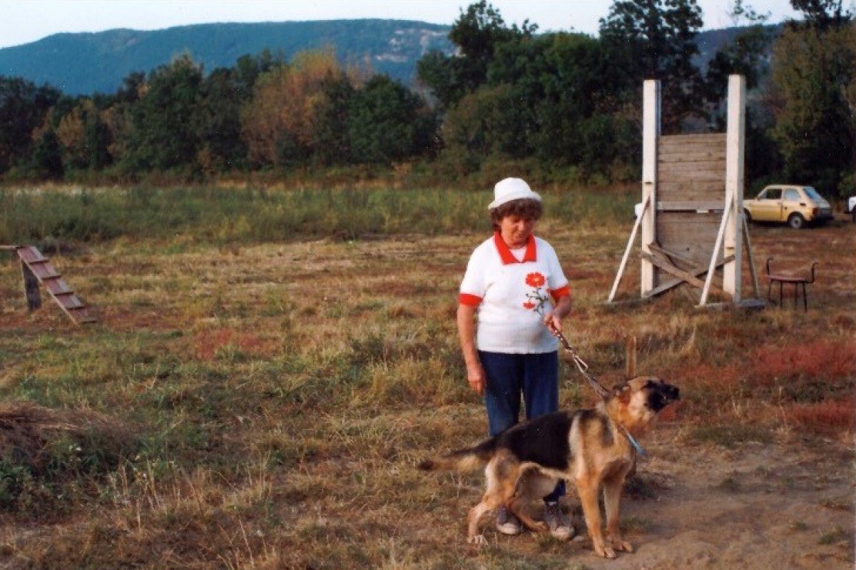 Csöpi néni dolgozik