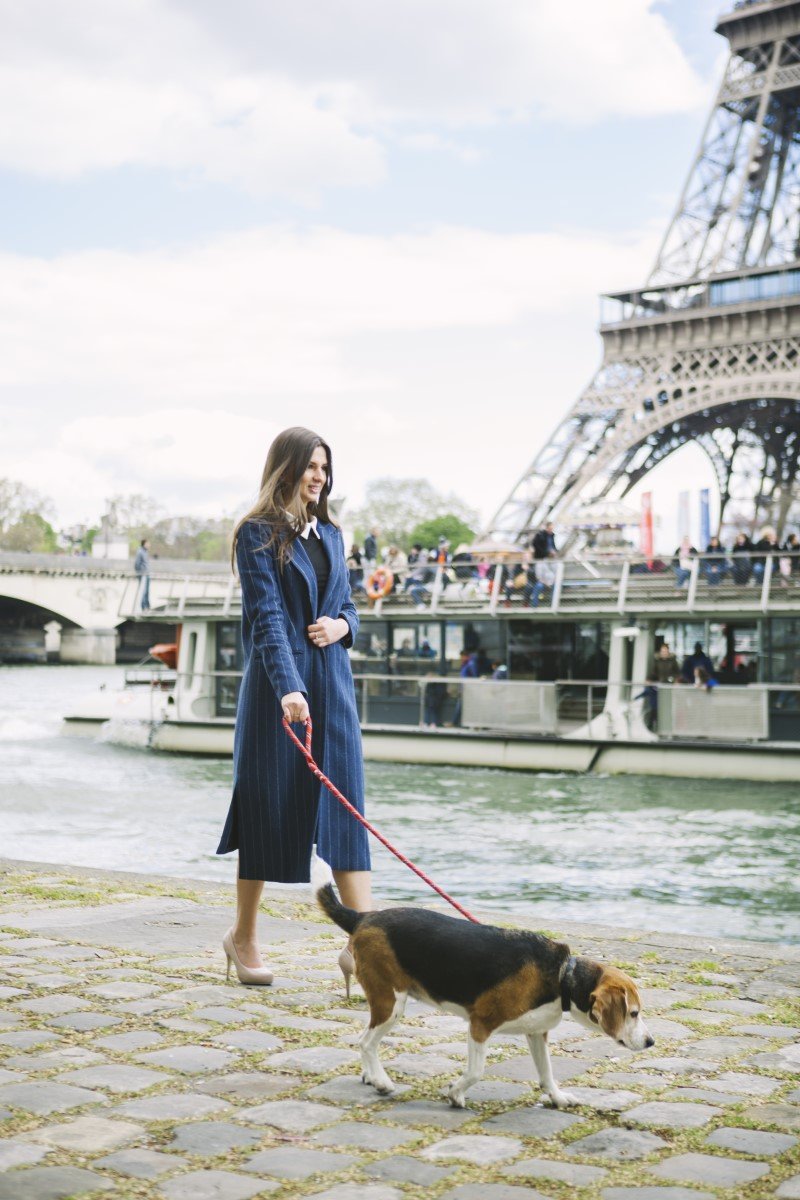 párizs eiffel torony kutyasétáltatás