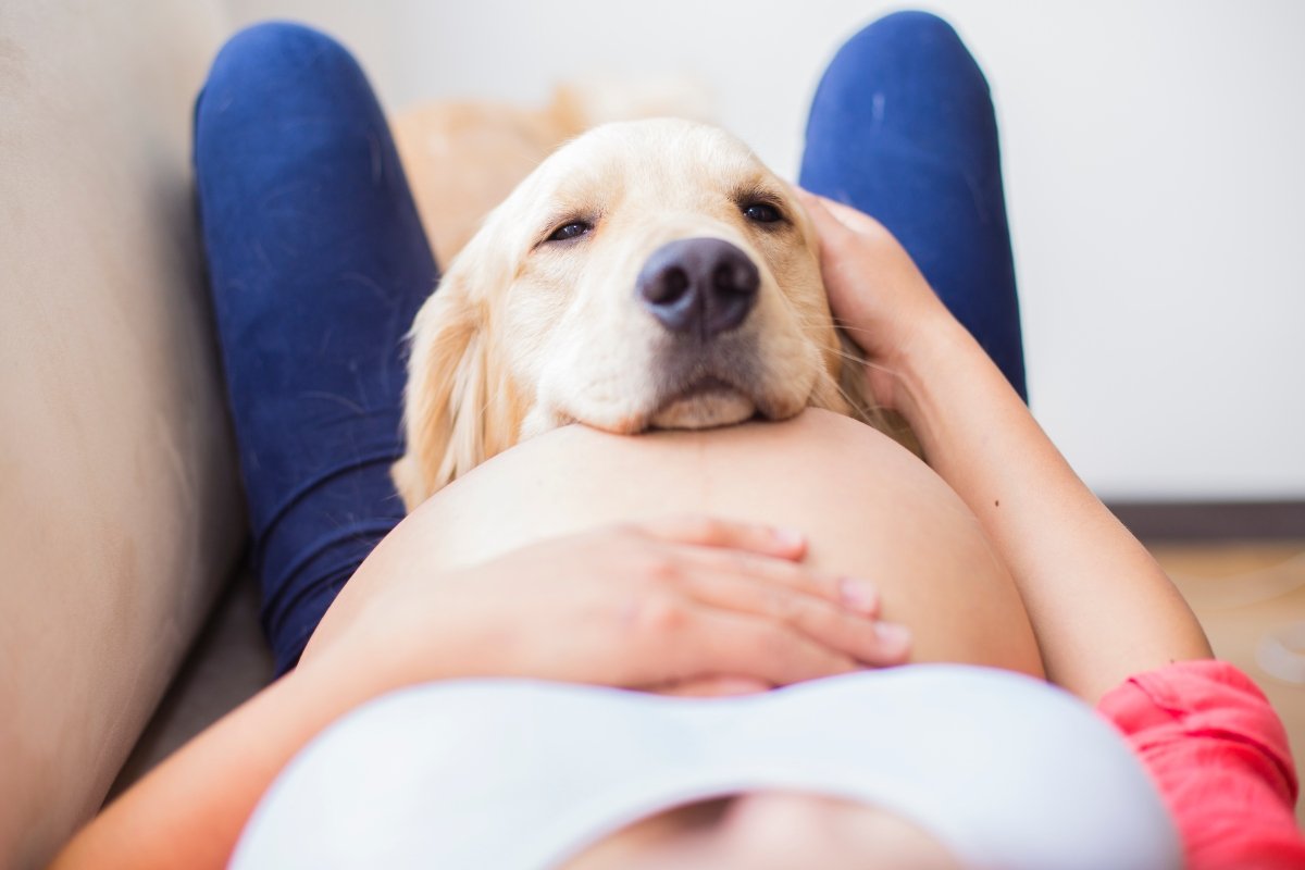 terhes terhesség várandós kismama borító