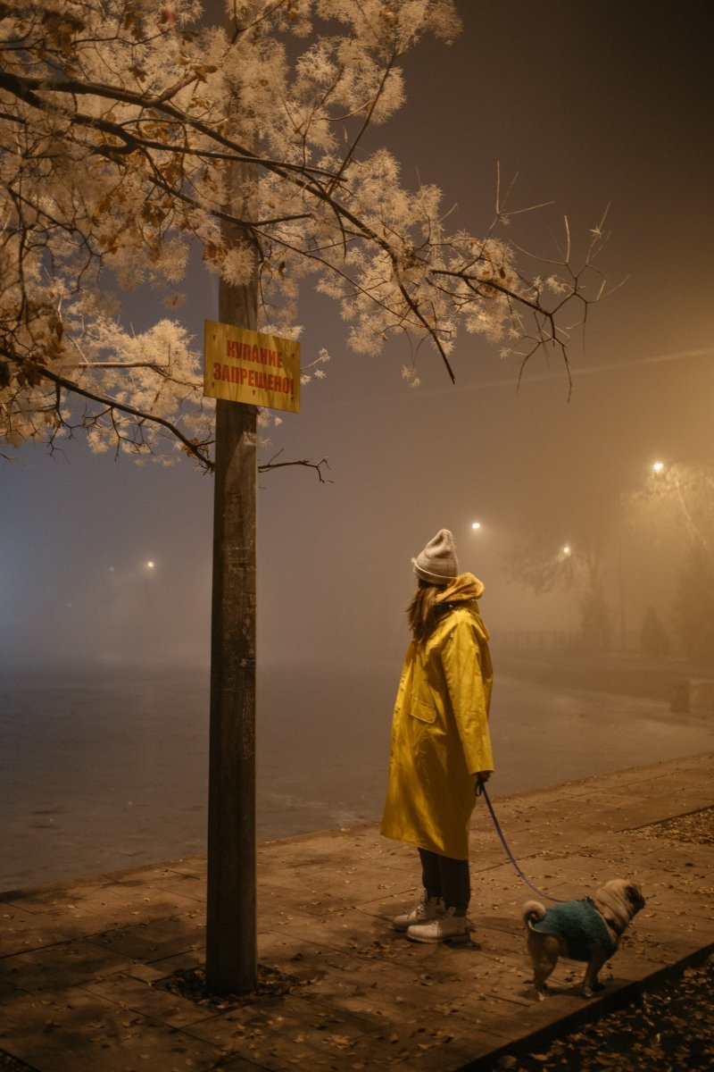 sétáltat este nő gazdi