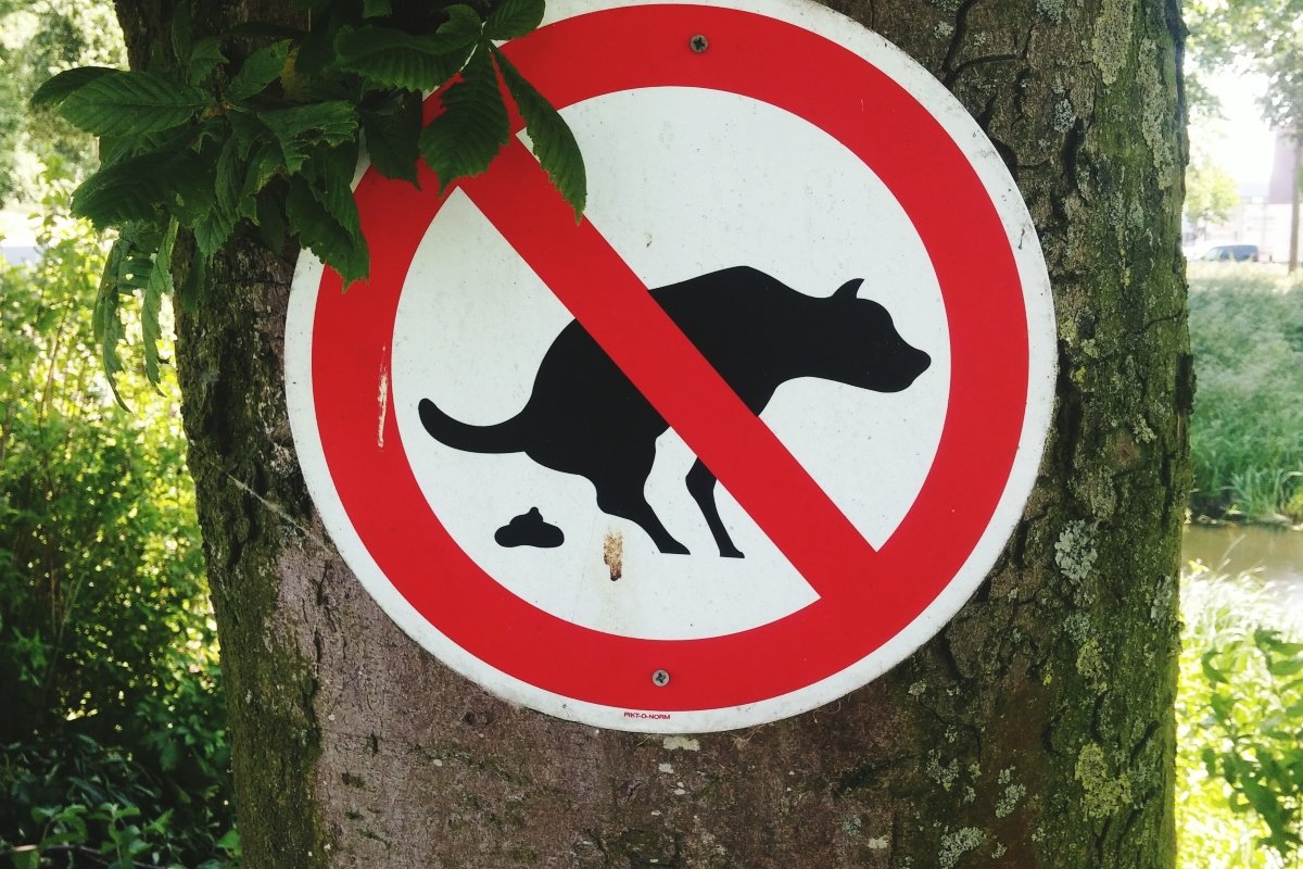 kutyakaki ürülék tábla