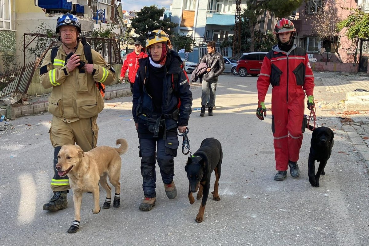 mentőkutyák Antakya borító
