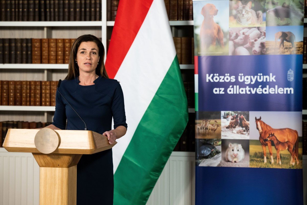 DMARC20230302001_Varga_Judit
