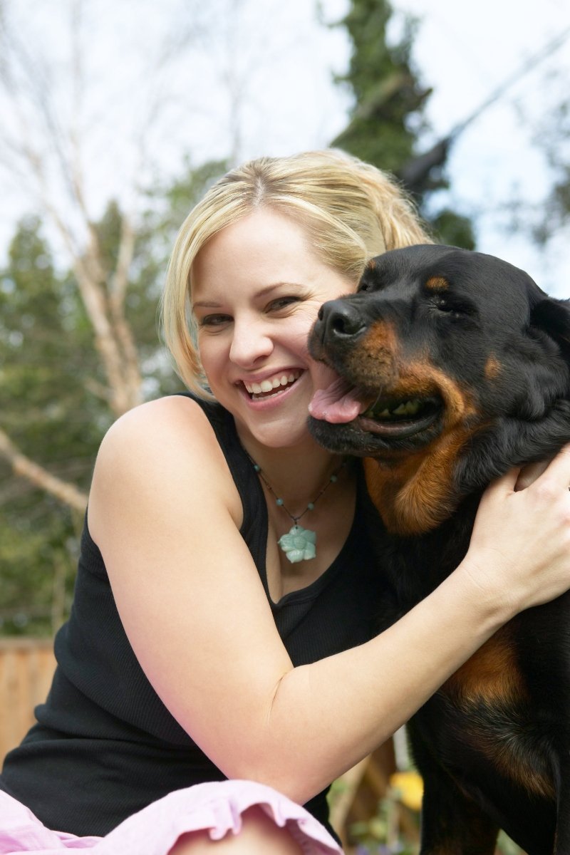 rottweiler gazdi szeretet ölelés