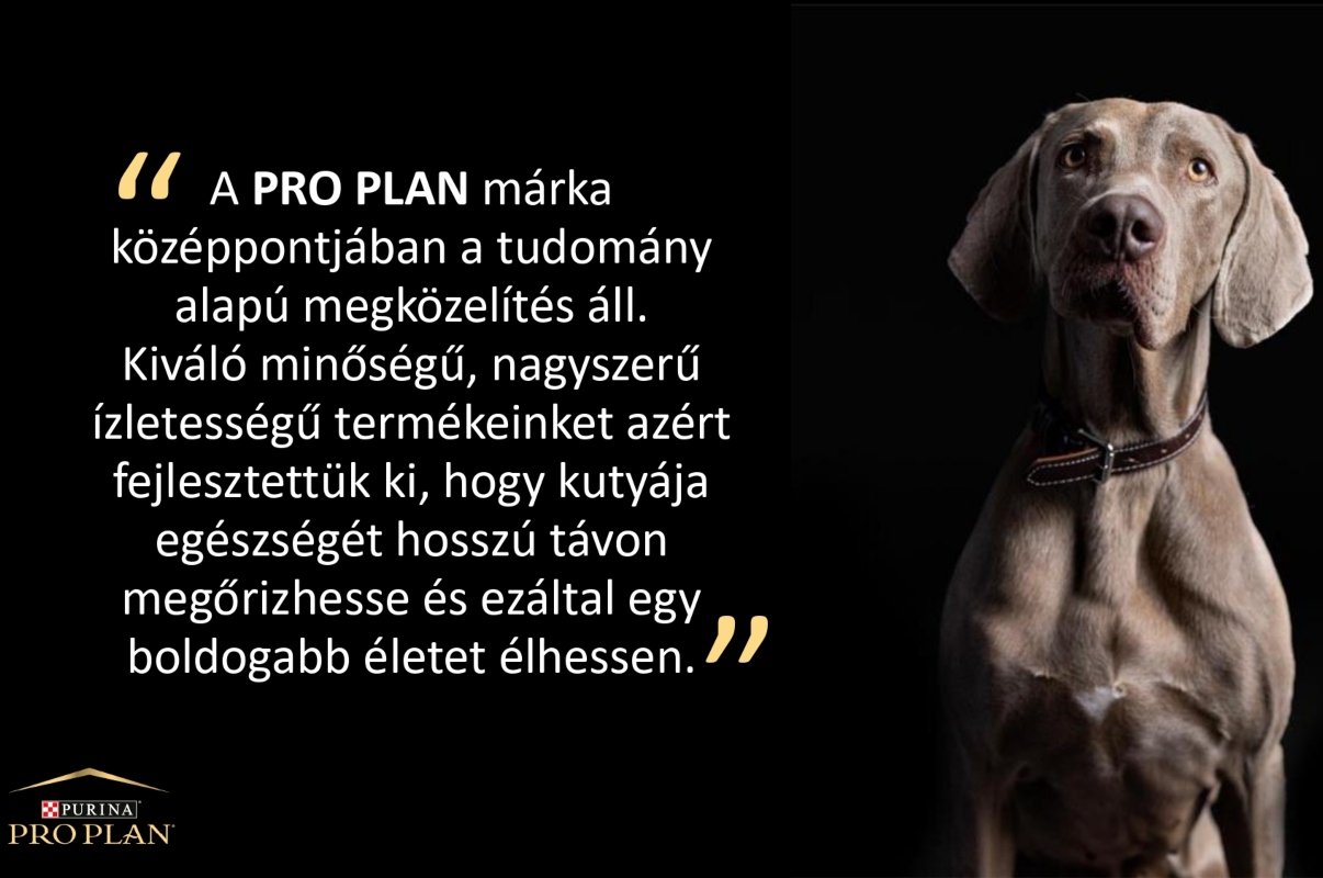 PR Purina