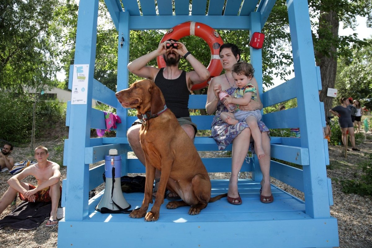 római part szabadstrand strand vizsla budapest we love