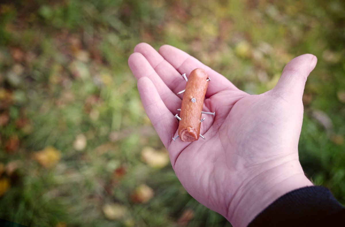 szöveggel tűzdelt virsli
