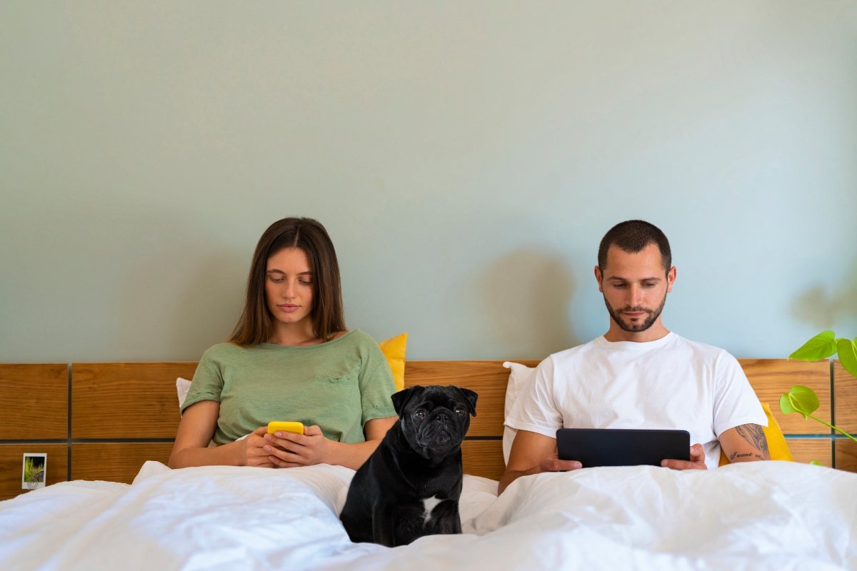 ágy párkapcsolat pár mopsz telefon