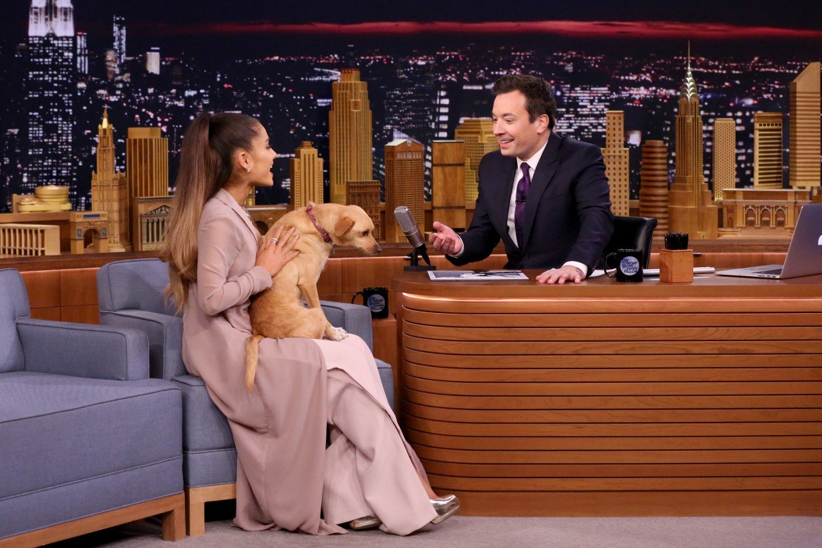 ariana grande kutyája