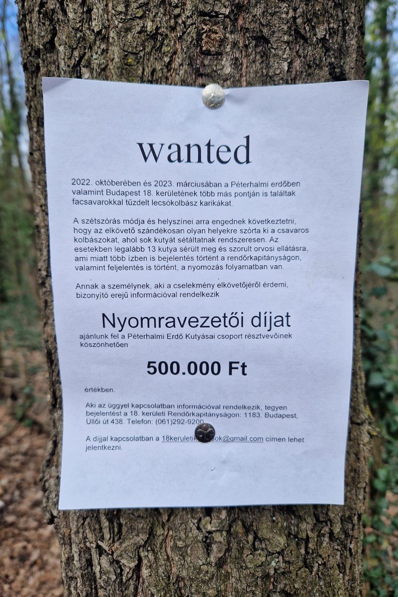 kutyamergezes