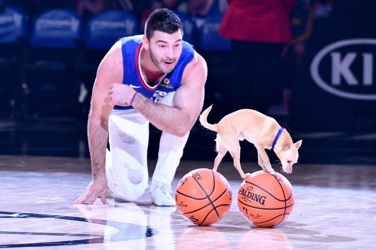 Christian Stoinev és Scooby