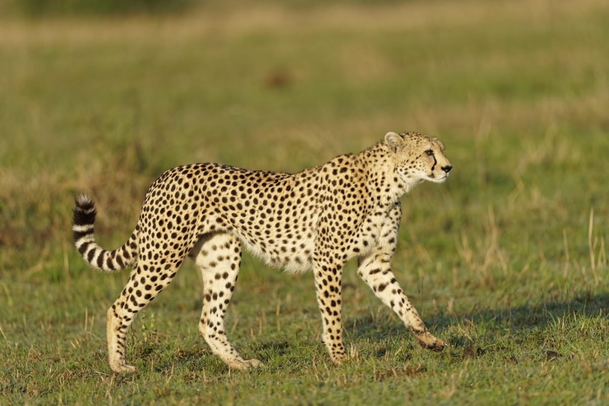 2023_05_gettyimages-1369020143-scaled-e1685094607490.jpg