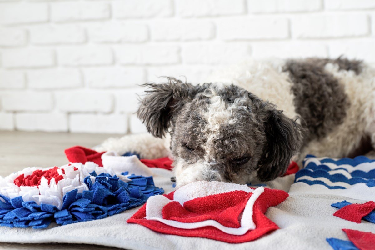 snuffle mat