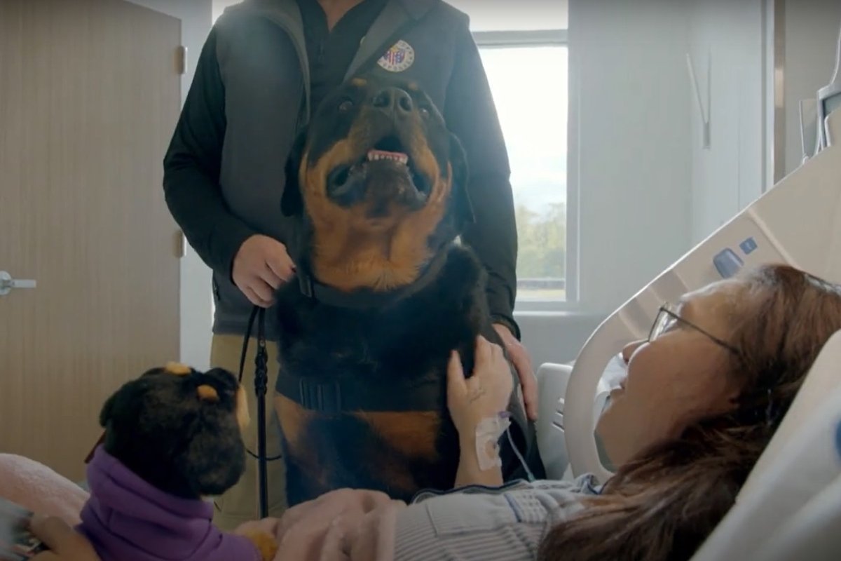 terápiás rottweiler 2 (1)