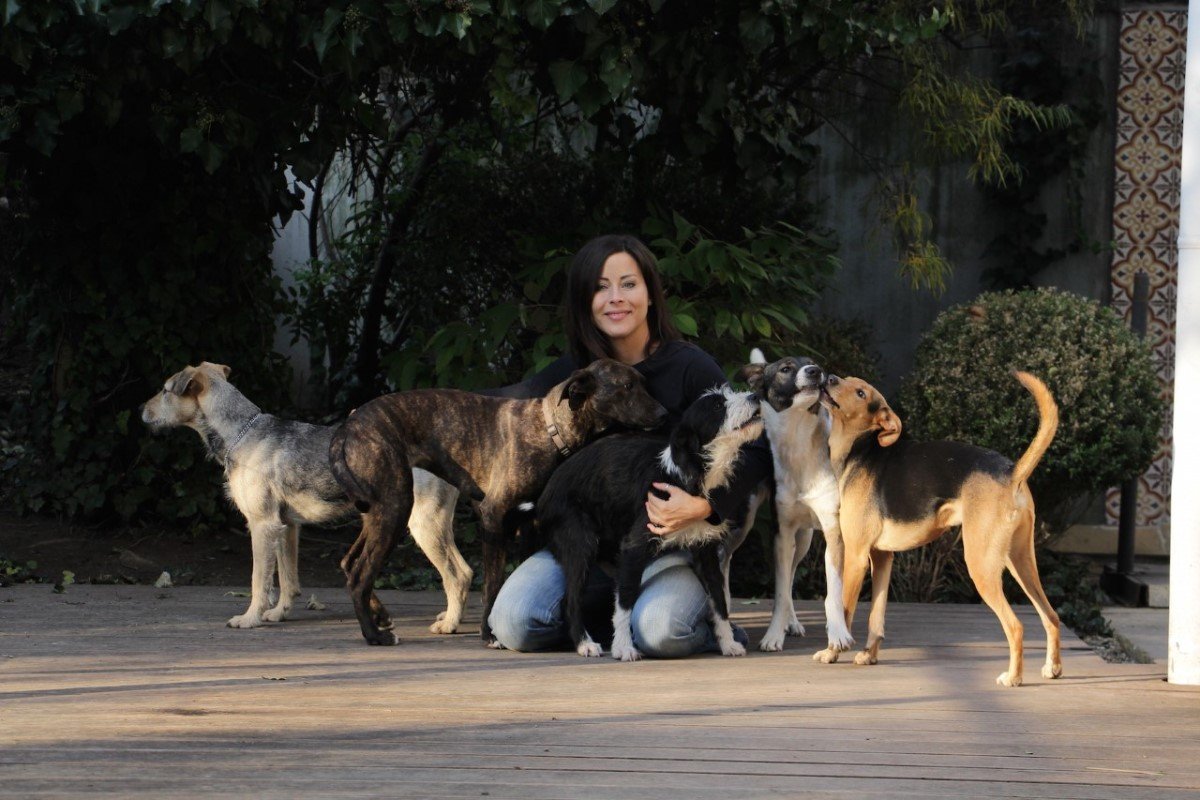 Tornóczky_Anita_Bono, Ria, Törpe, Piri, Izé