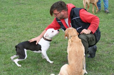 A kiképző a pozitív megerősítésre esküszik, de vallja, hogy mindig helyzetfüffő, milyen módszer vezet eredményre.