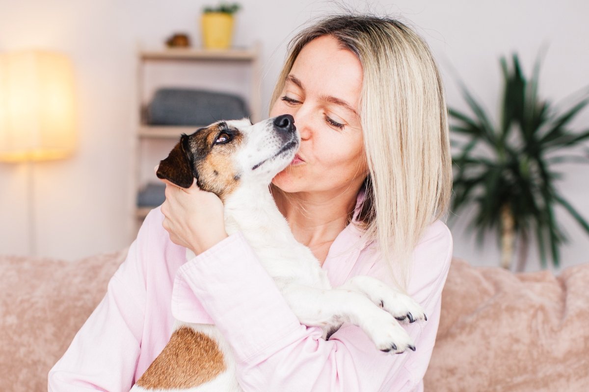 ölel puszil gazdi jack russell