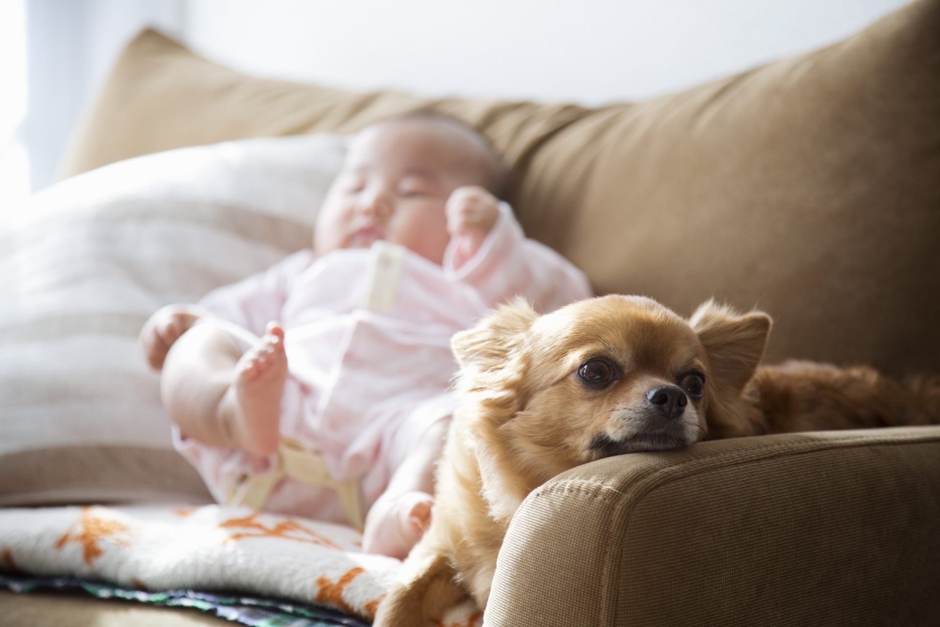 2023_06_gettyimages-696549268-scaled.jpg