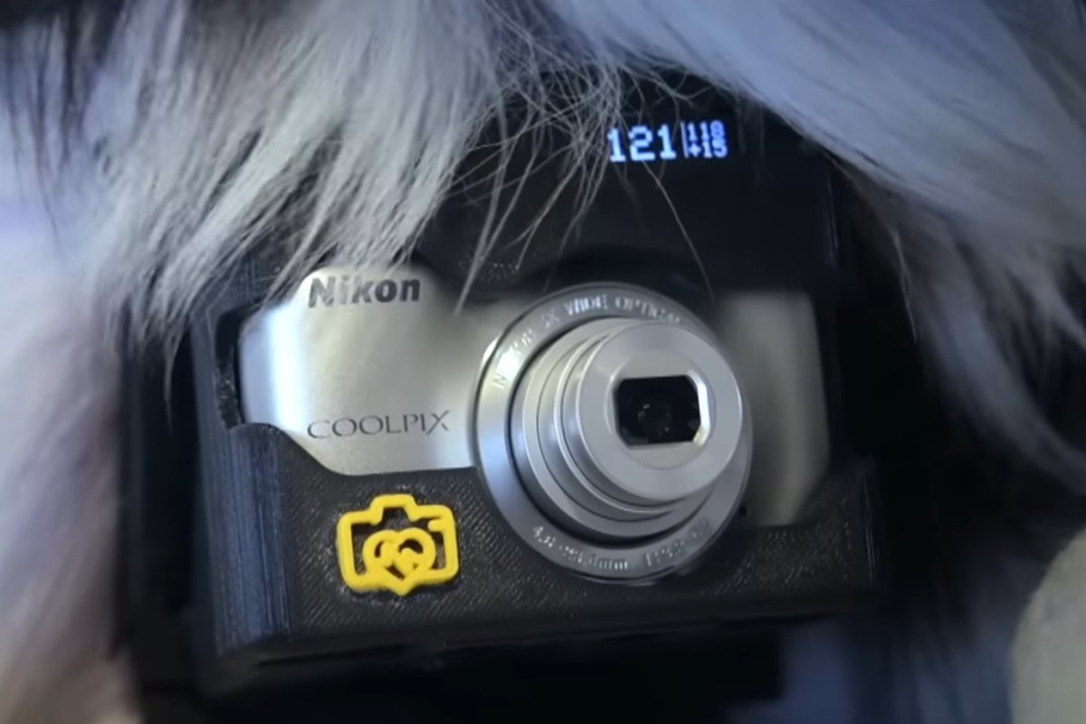 grizzler nikon
