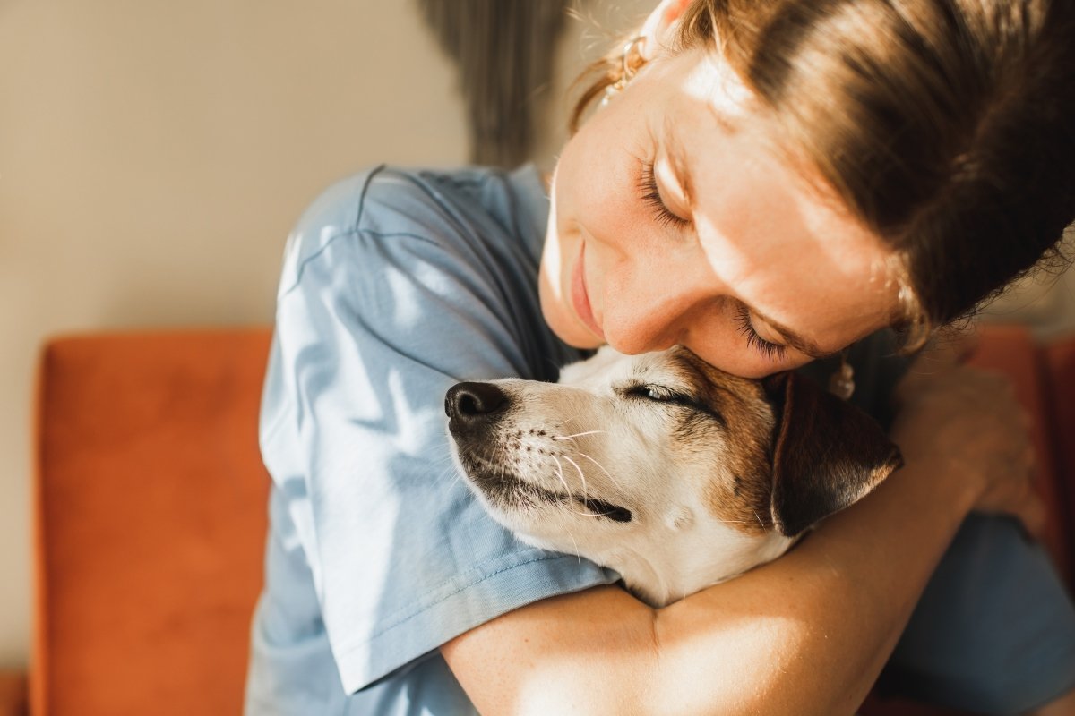 jack russell ölel szeret boldog ember gazda borító