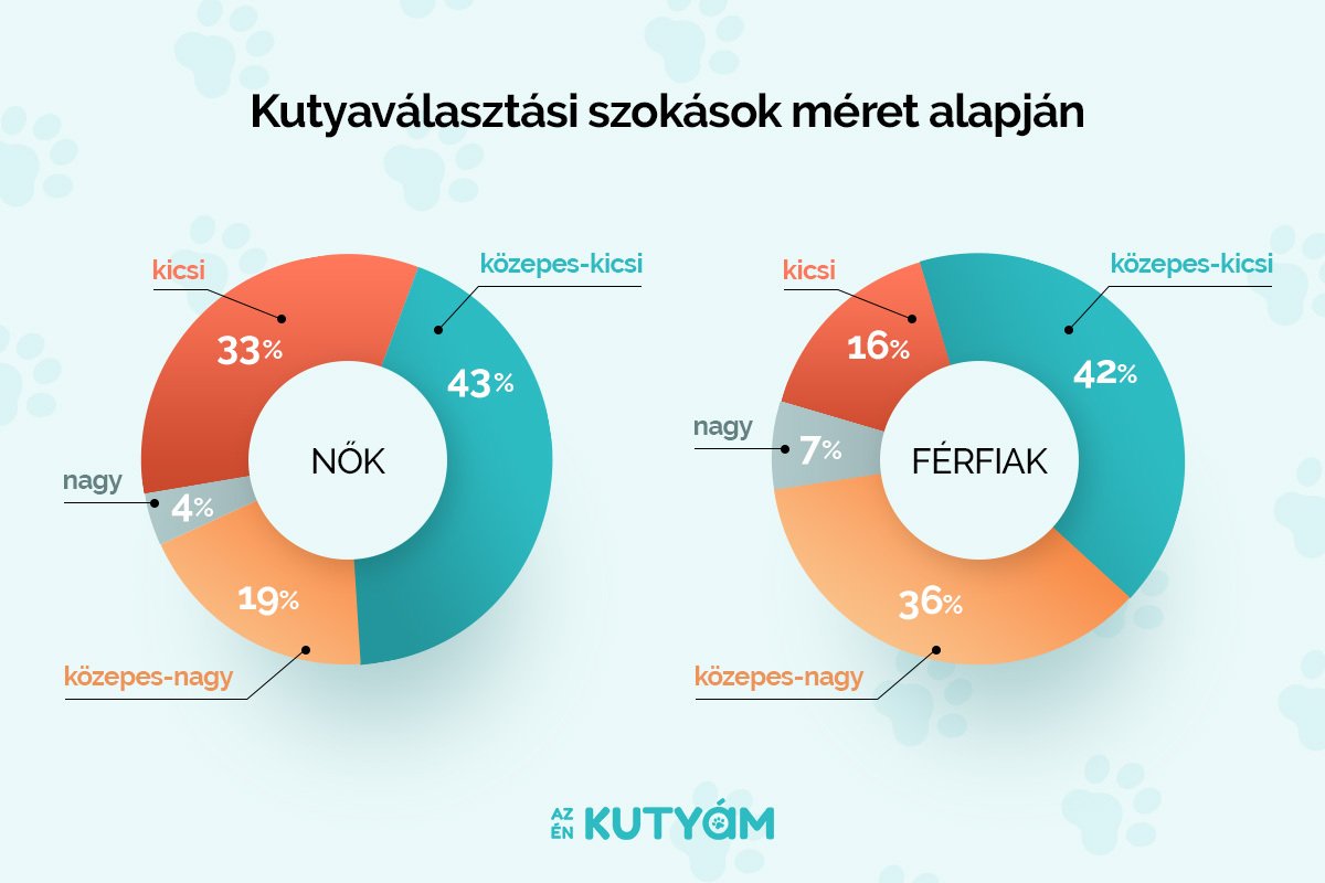 pie-chart