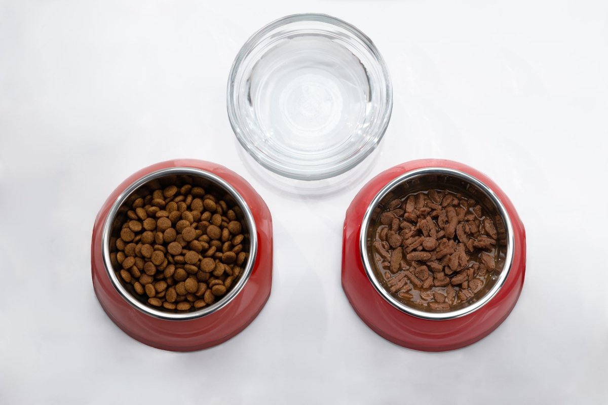 Royal Canin kutyatáp