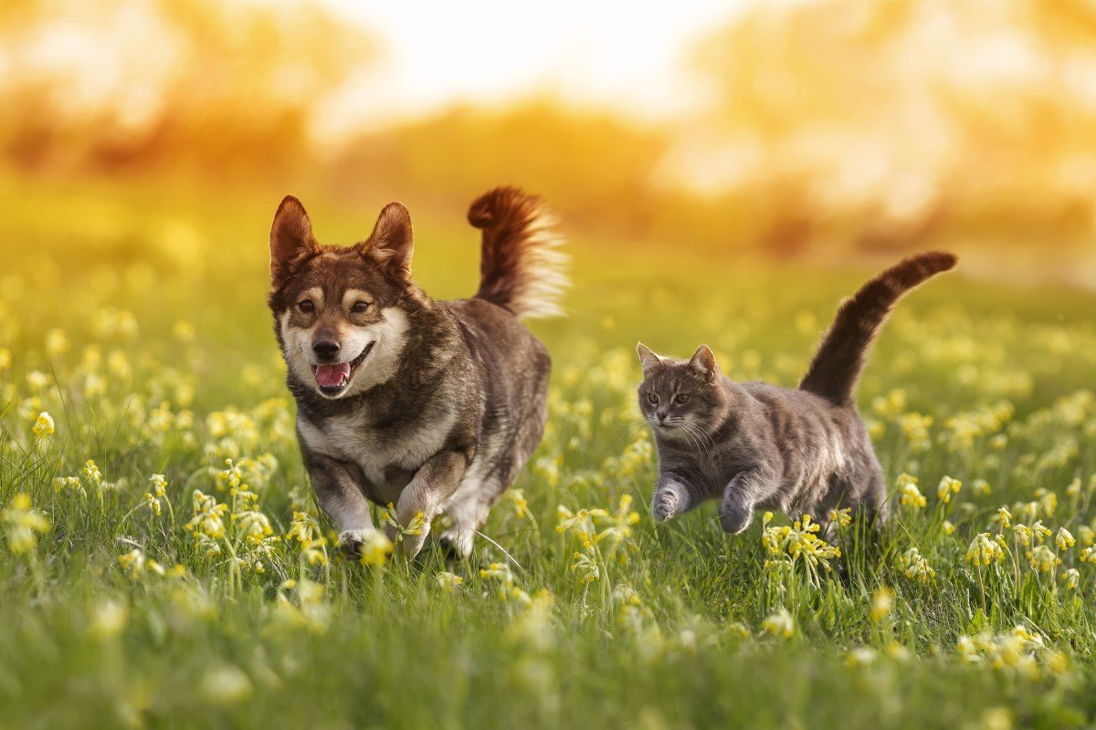 GettyImages-1399405977