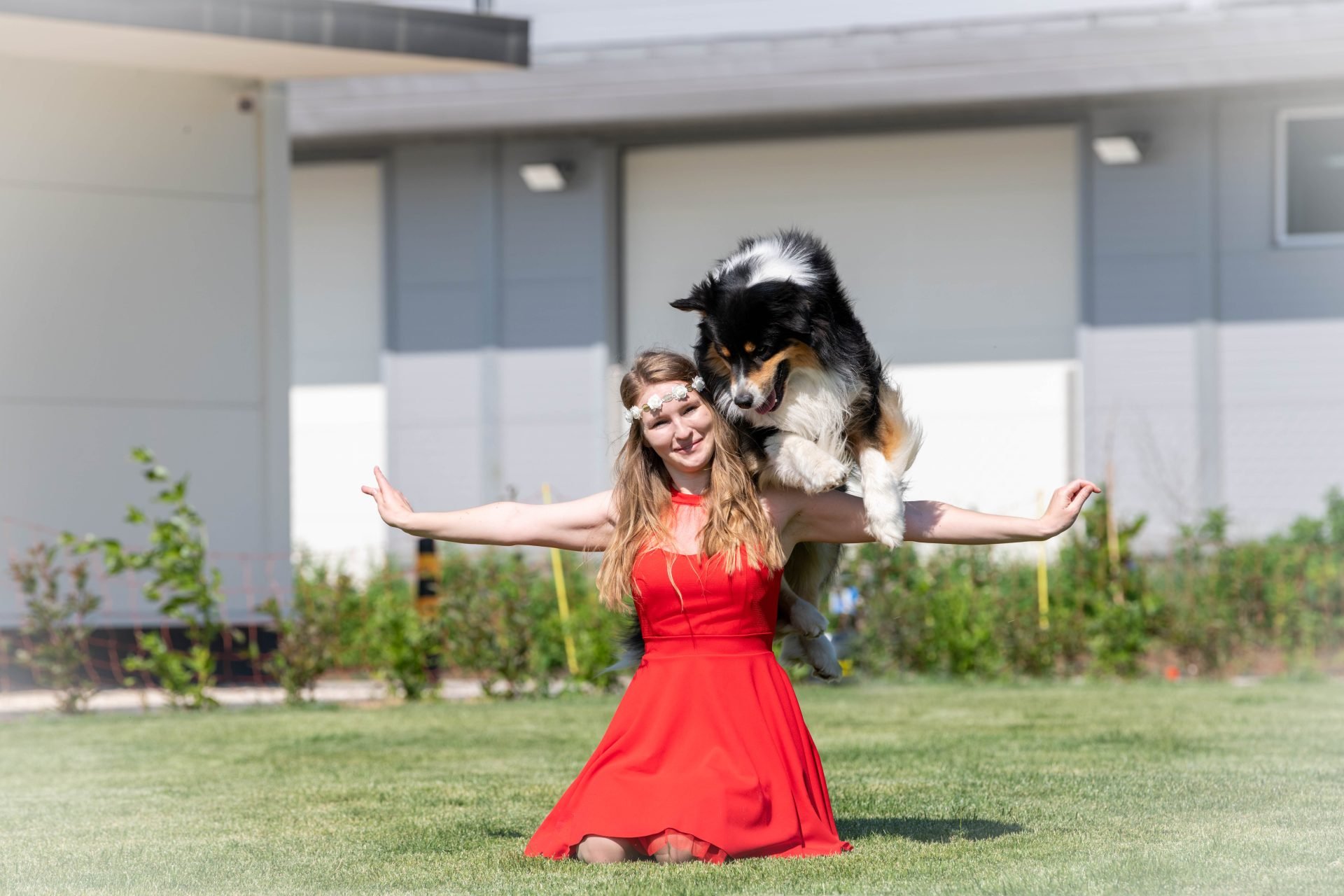 2023_08_dog-dancing-32-scaled.jpeg