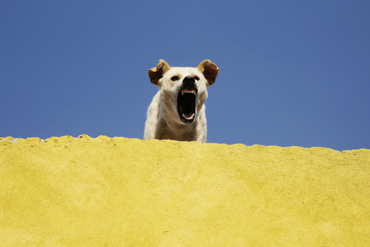 GettyImages-1065223360